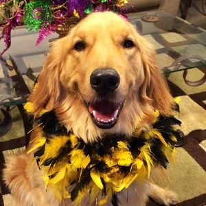 Meet your Posher, Genna